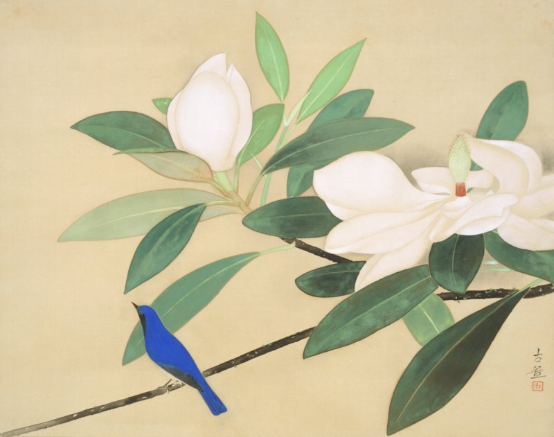 山種美術館 tweet media