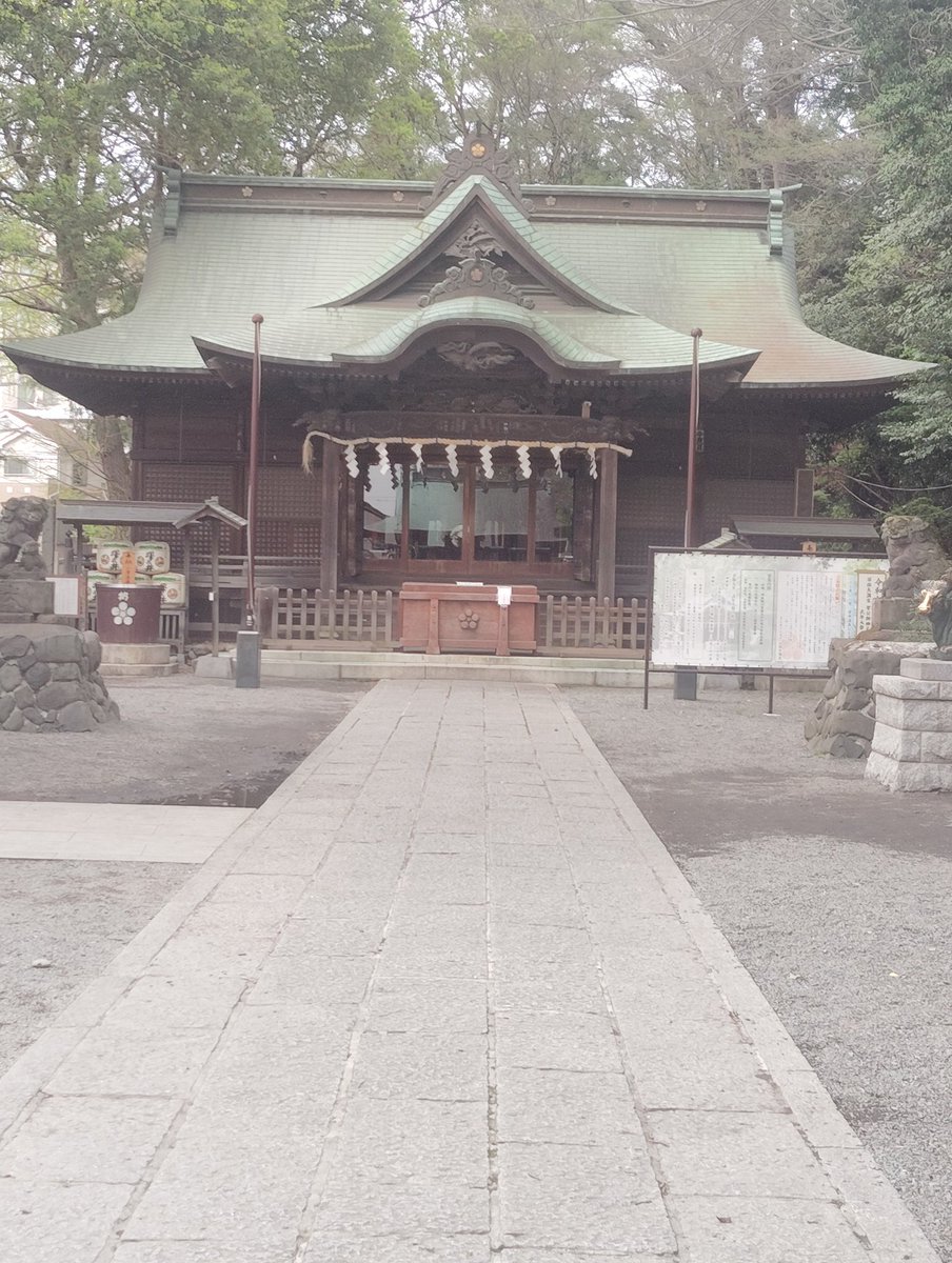 娘の始業式にあわせ、仕事帰りに国立の谷保天満宮にて参拝⛩️。お花見もでき素敵な時間となりました。
