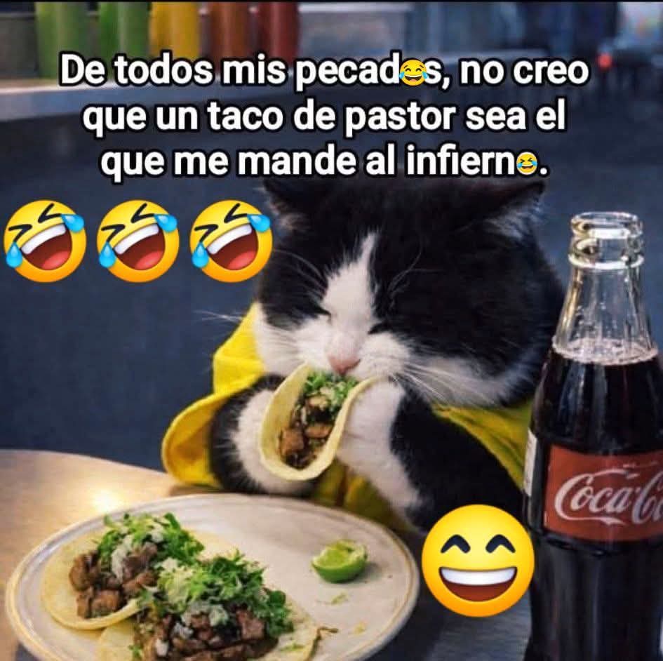 🙊🙊🙊Lunes de humor 🙊🙊🙊 #meme #humor