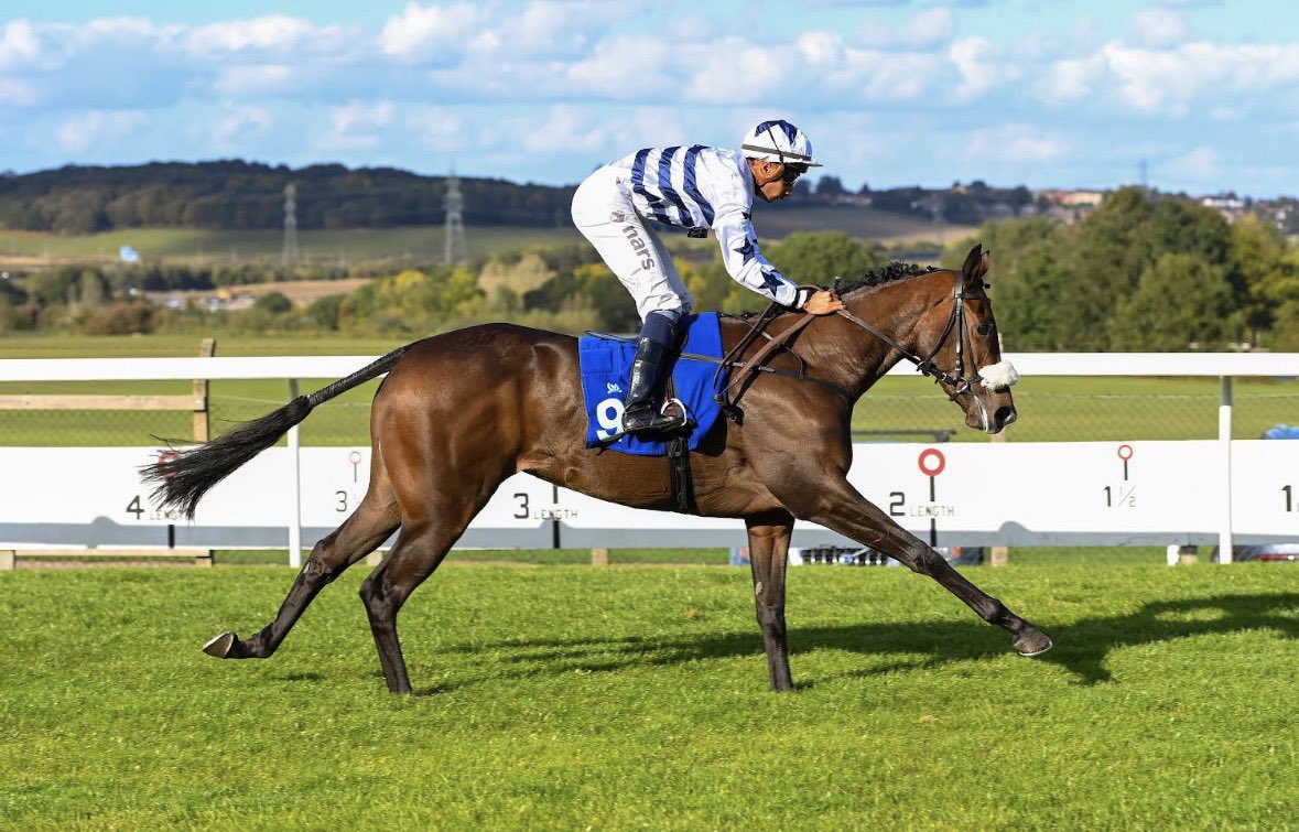 Basher Watts tweet media