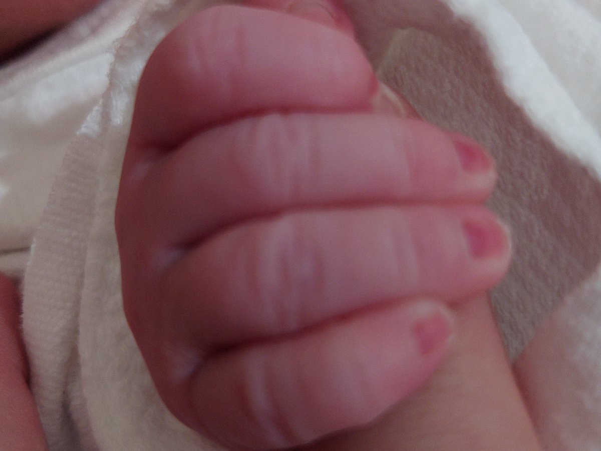 蒼兄貴 tweet media