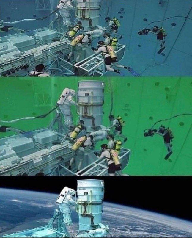 𝗗𝗢𝗠𝗜𝗡𝗜𝗢𝗡 ✝️ 🌿 • ✨ tweet media