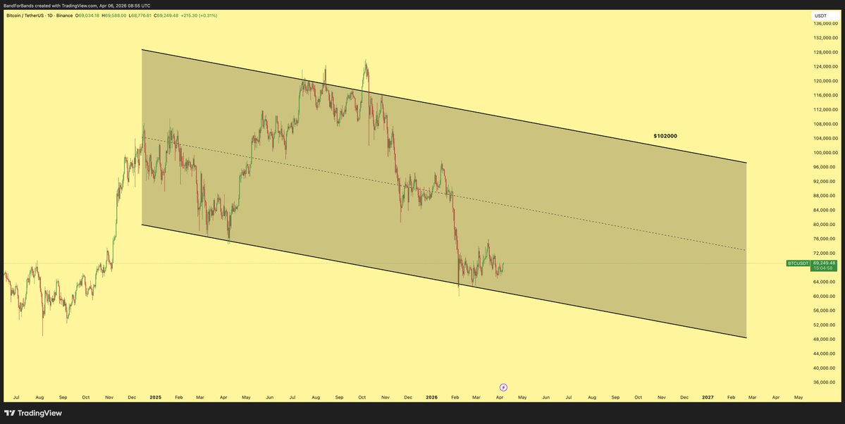 BFB 🐂 tweet media