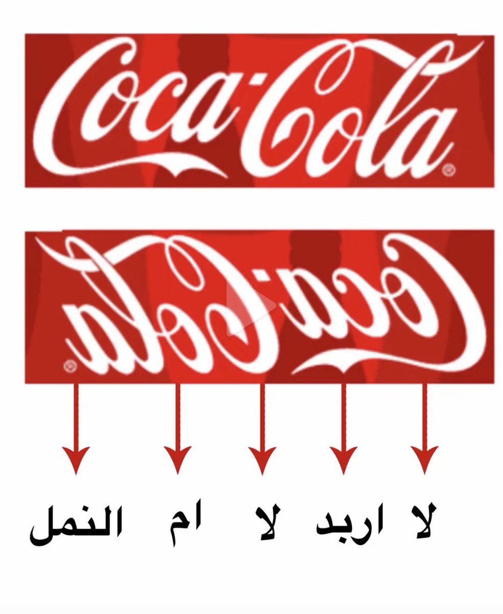 دانه tweet media