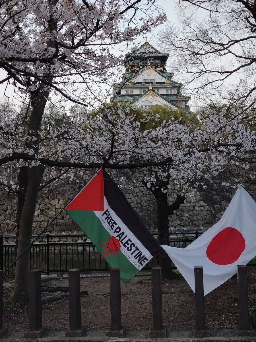 HAGIME−FW tweet media