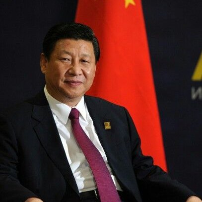 Bull Theory tweet media