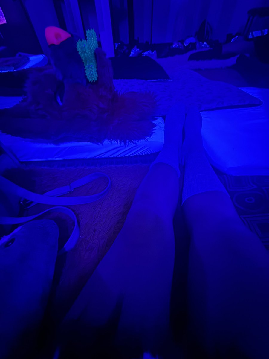 Howly Berry LVFC tweet media