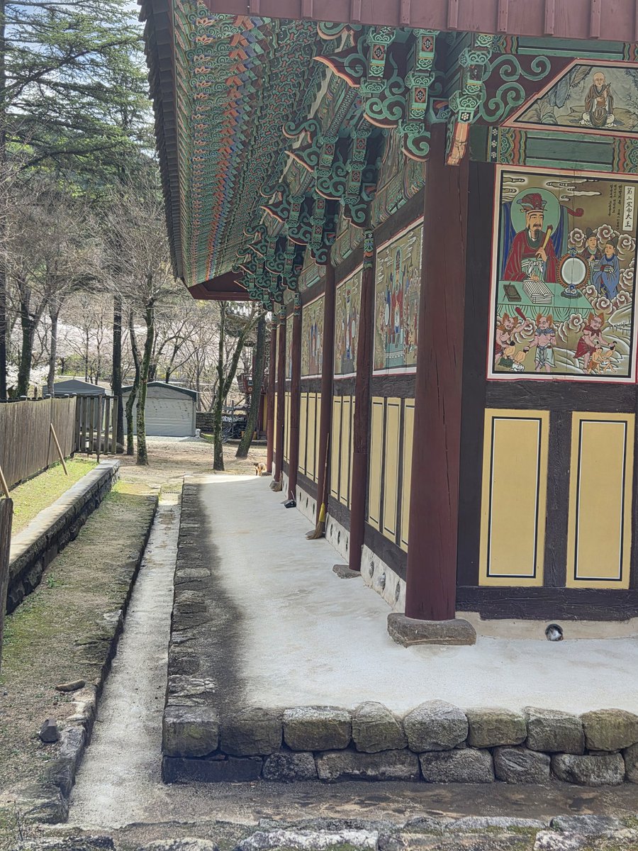 ynsmom's tweet photo. 오랜만에 맑은 하늘을 볼 수 있었다 송림사. https://t.co/lCUOmrqHS4