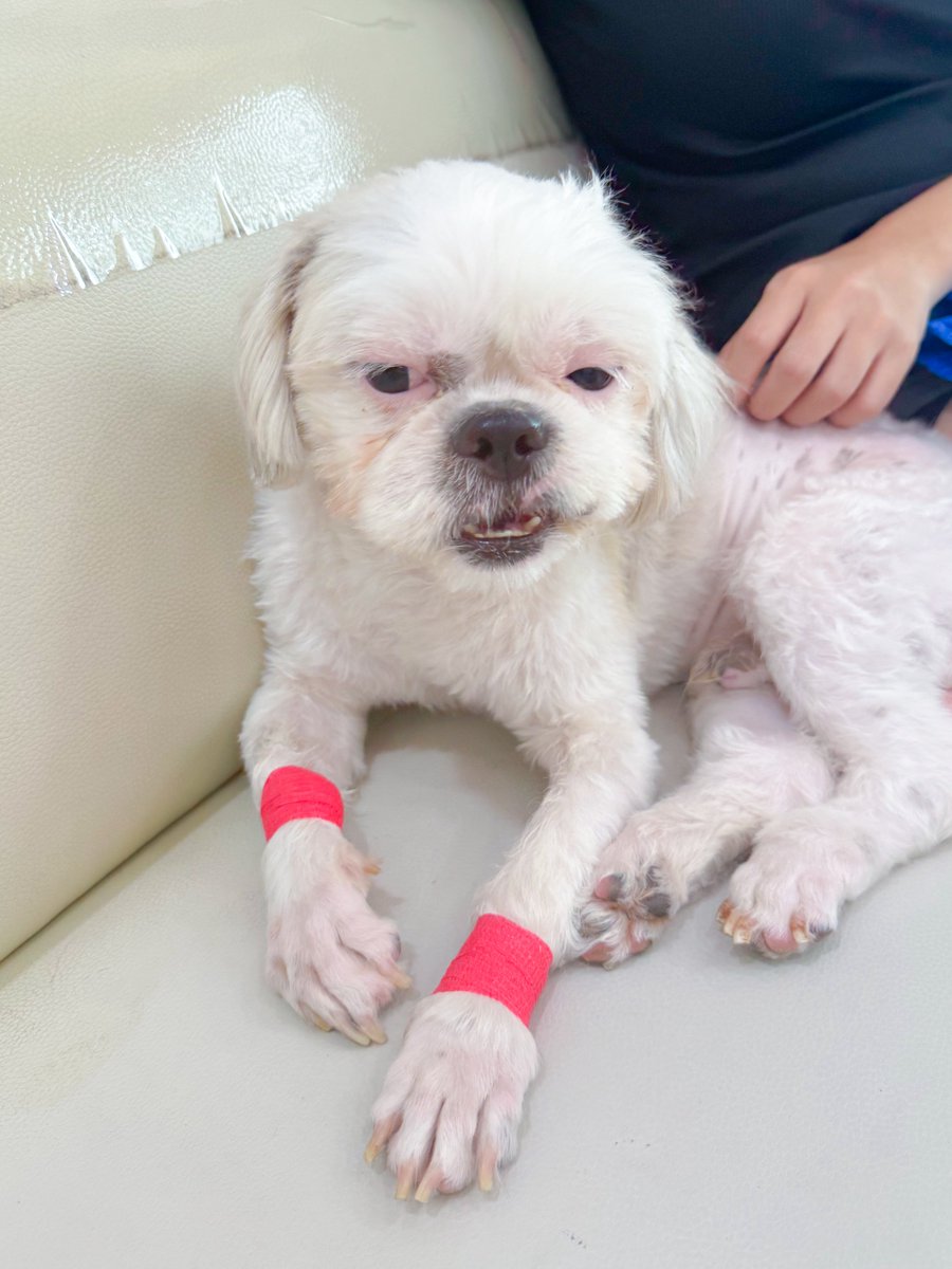 DNVP 💋 (Malonfamily) tweet media