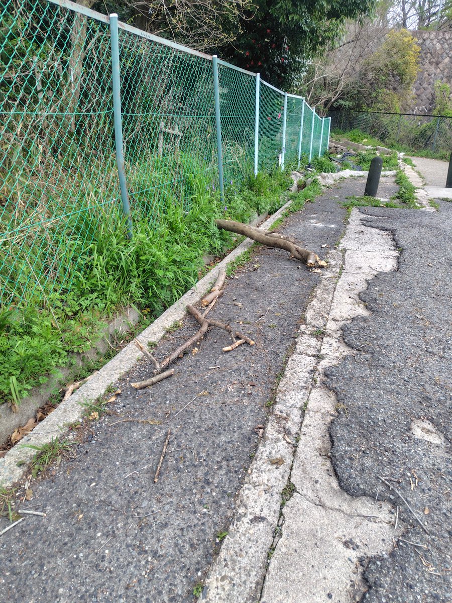 ちゃんみぃ tweet media