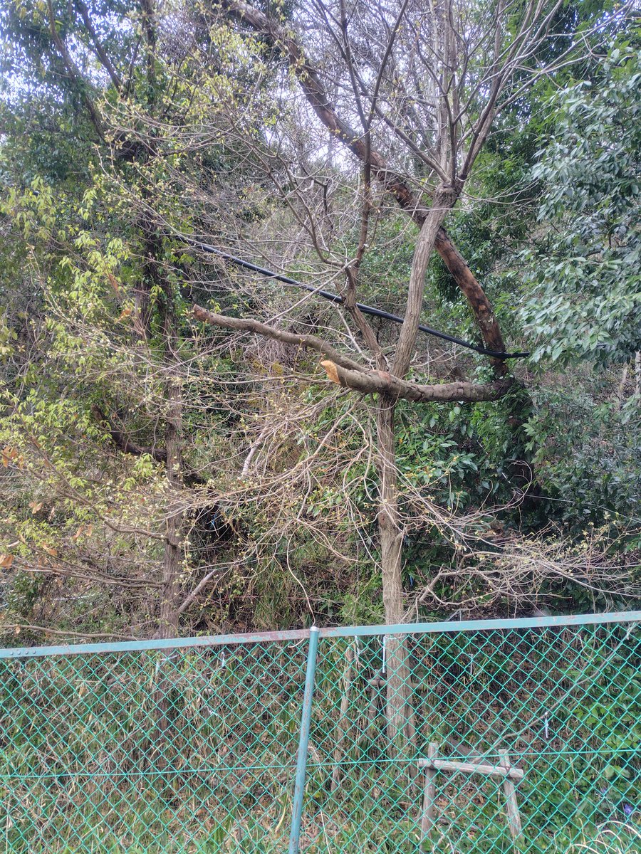 ちゃんみぃ tweet media