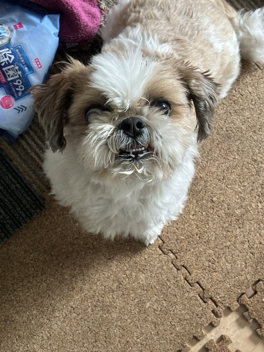 南⃝ 風⃝ 野⃝（🅷🅰🅴🅽🅾） tweet media