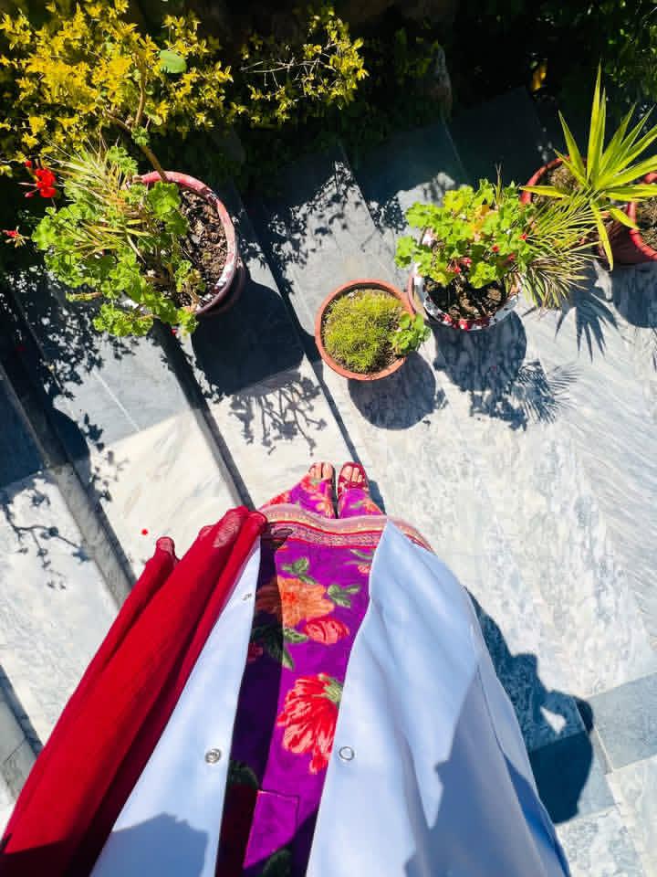 Panra 🌿 tweet media