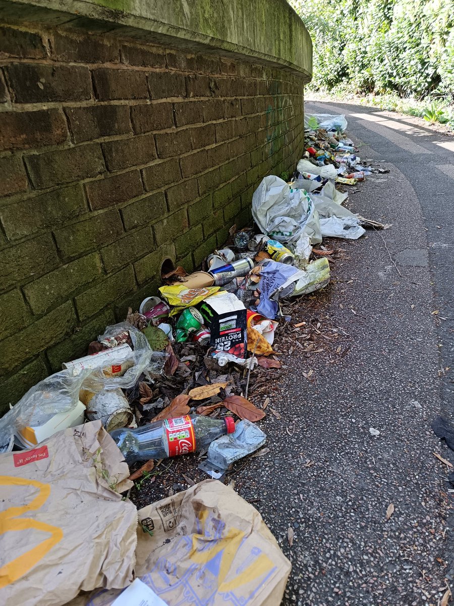 Litter Kickers tweet media