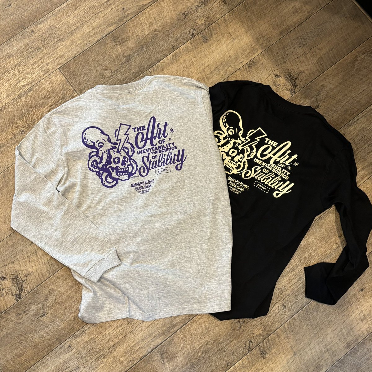 MMA&BJJ BLOWS Osaka tweet media