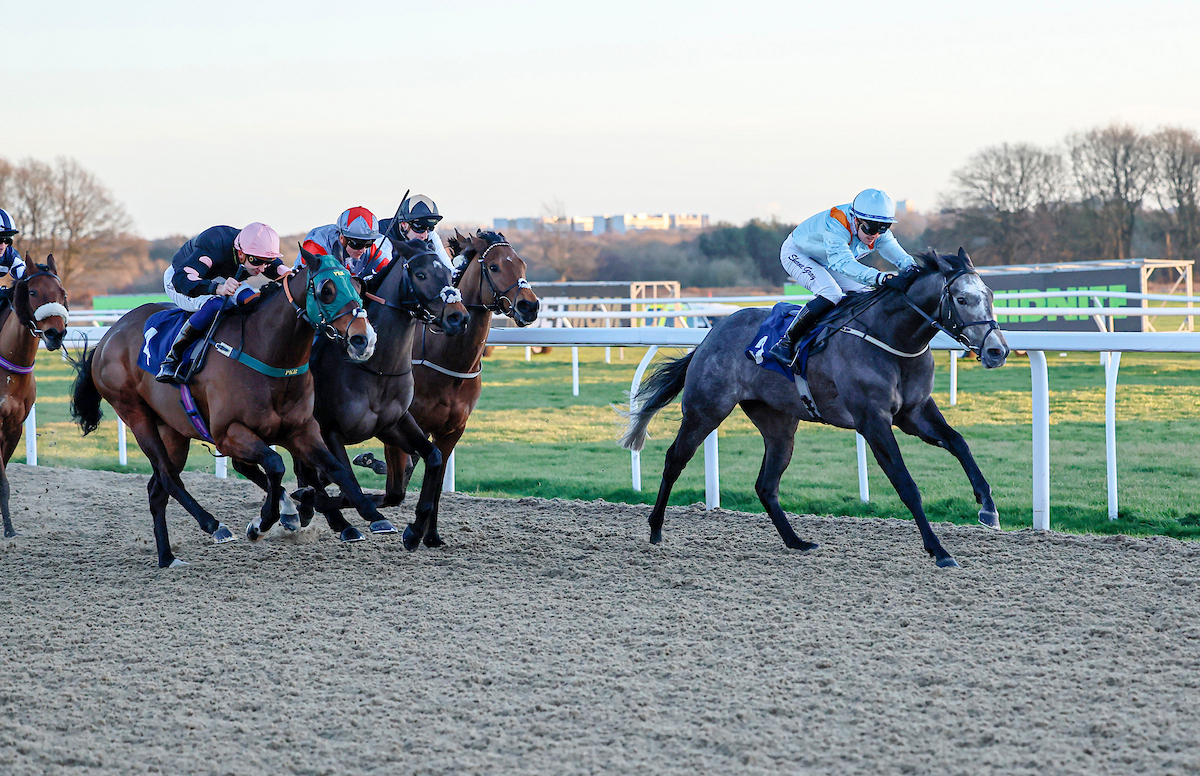 Middleham Park Racing tweet media