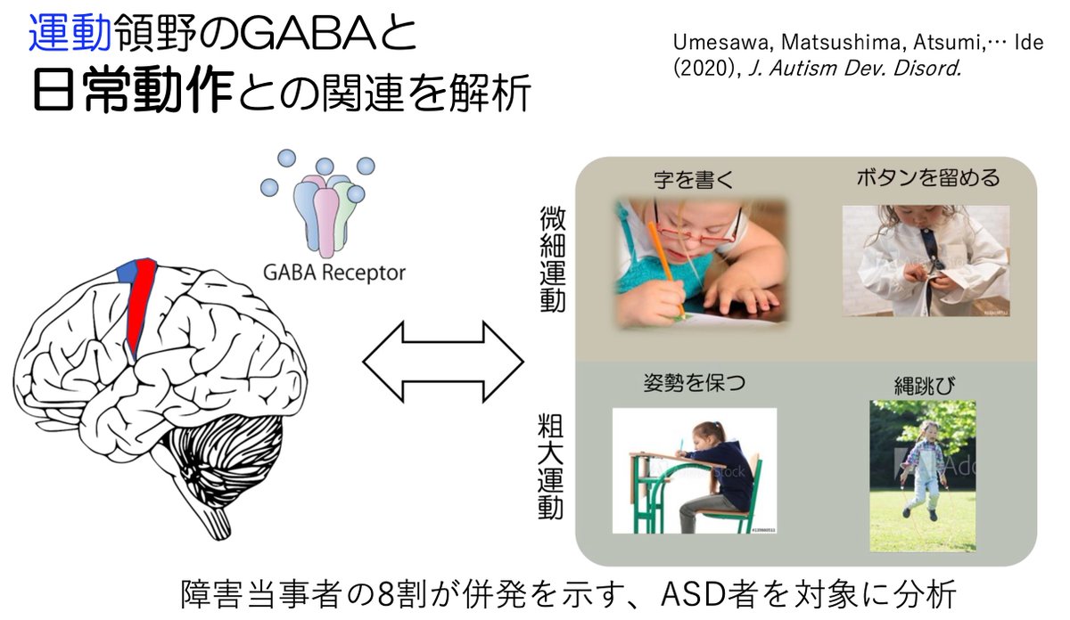 Atsumi_Research's tweet image. 4月2〜8日は #発達障害啓発週間 です！
自閉スペクトラム症 #ASD の人では、手先の不器用さなど運動困難を示す、発達性協調運動症 #DCD の併存が多いです。

私たちは、脳内抑制性の低下が協調運動の低さと関連していることを見出しています。
#世界自閉症啓発デー #発達障害
link.springer.com/article/10.100…