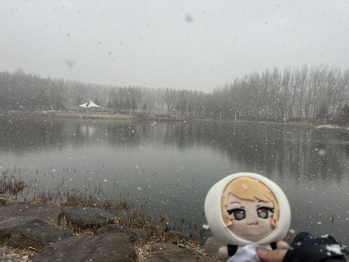 Lux_KT_U's tweet photo. 今日、雪。
#りこのトリコ https://t.co/BlNO4DVRMJ