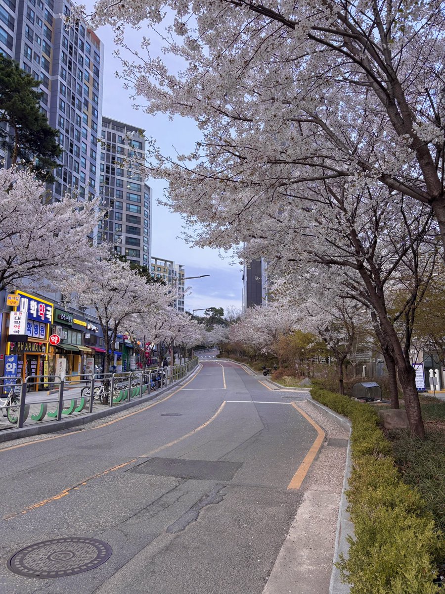 Tchatcha⁷ 💜 NJZ is 5✨Love of your life thing tweet media