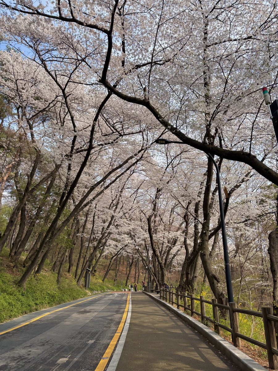 Tchatcha⁷ 💜 NJZ is 5✨Love of your life thing tweet media