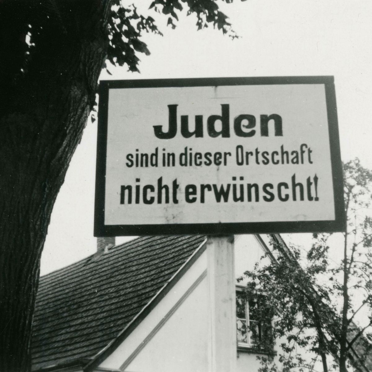 Frankito, o Curioso® tweet media