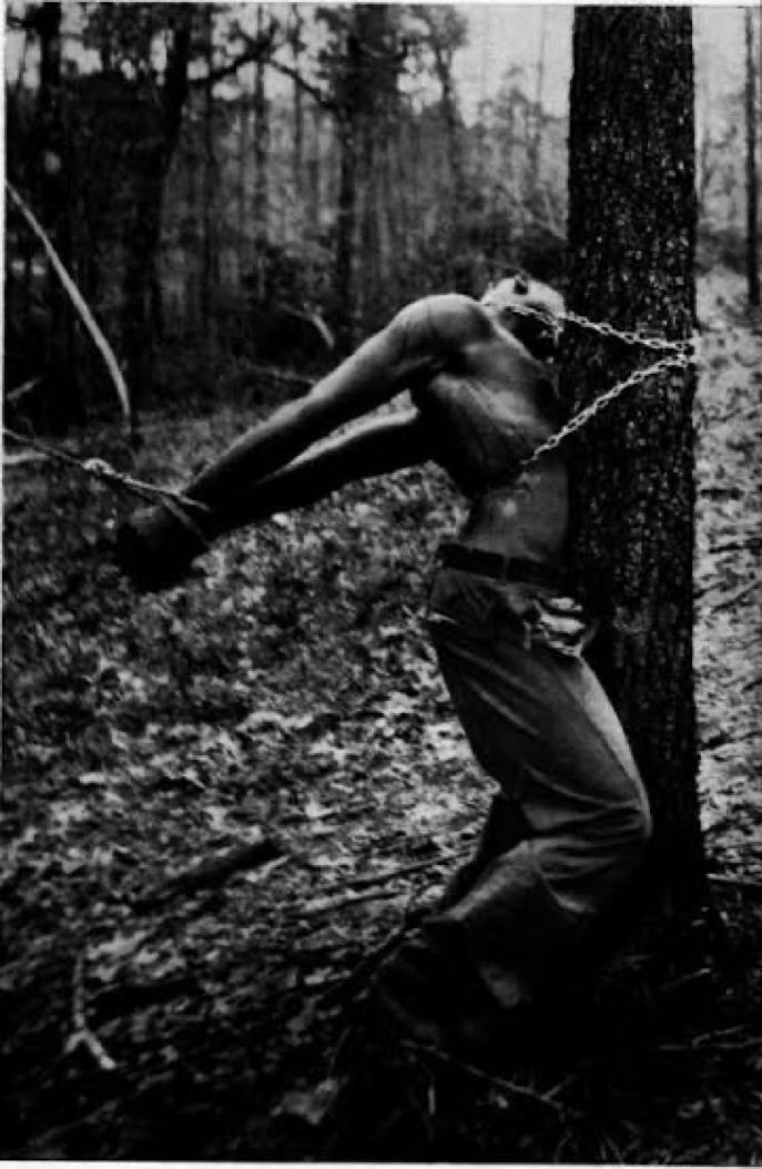 Adolf Hitler tweet media