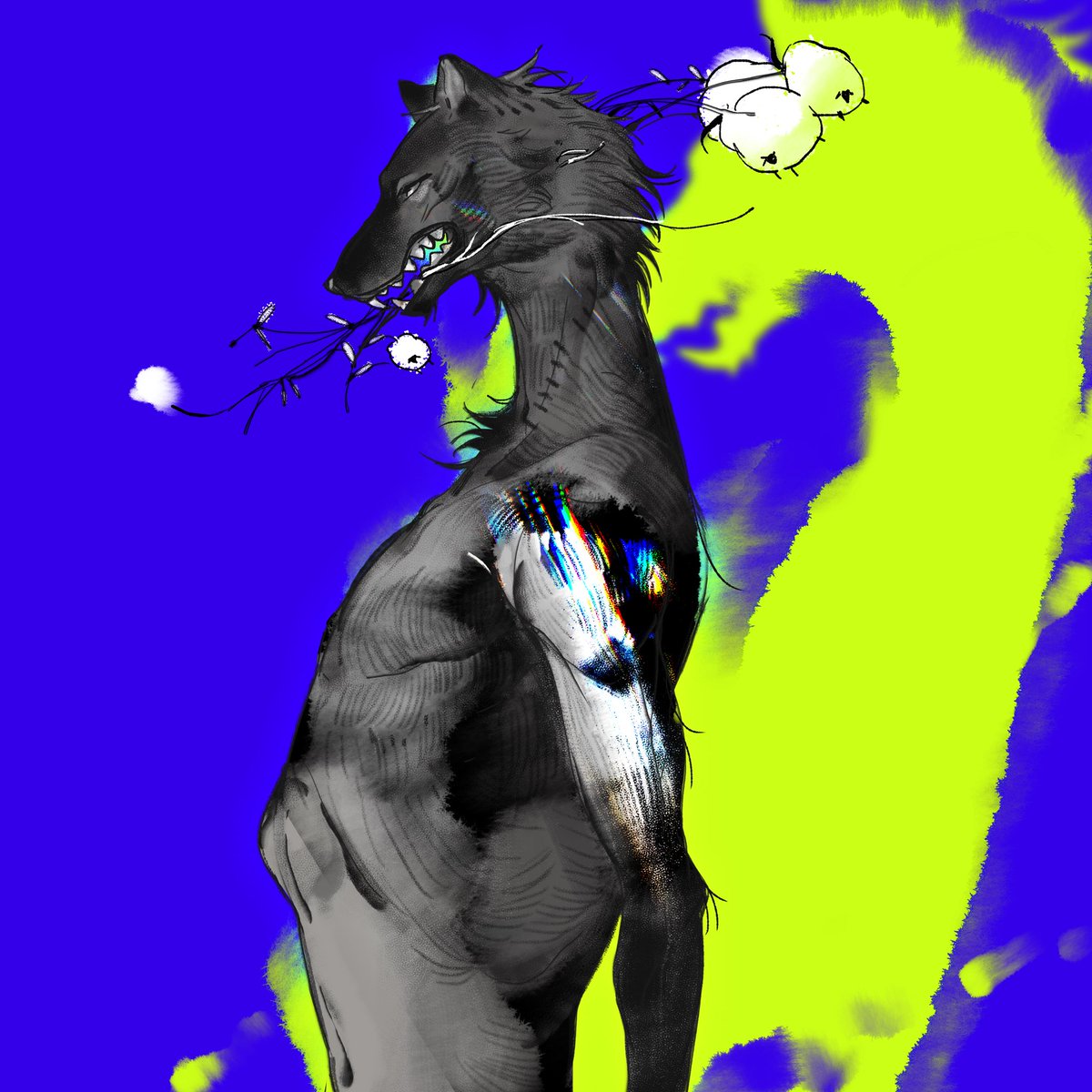 摩卡黑狗 tweet media