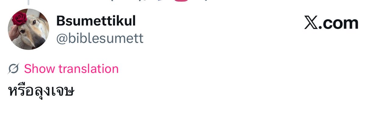 ไอซึᯓ꒰ 🐾 ꒱: tweet media