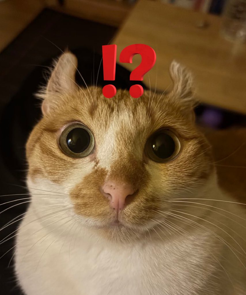 밤토리와츄원♡ tweet media