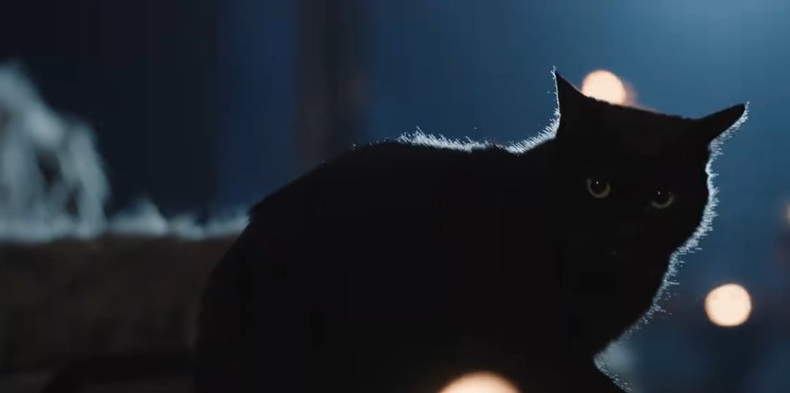 계세요 tweet media