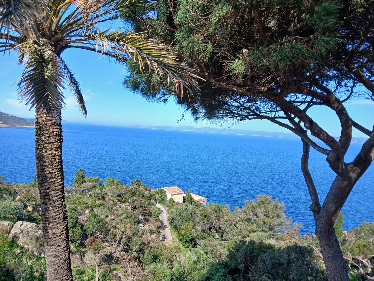 Patoche of Paris tweet media