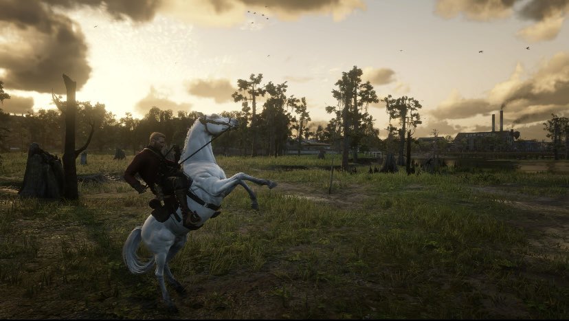 سلطان tweet media