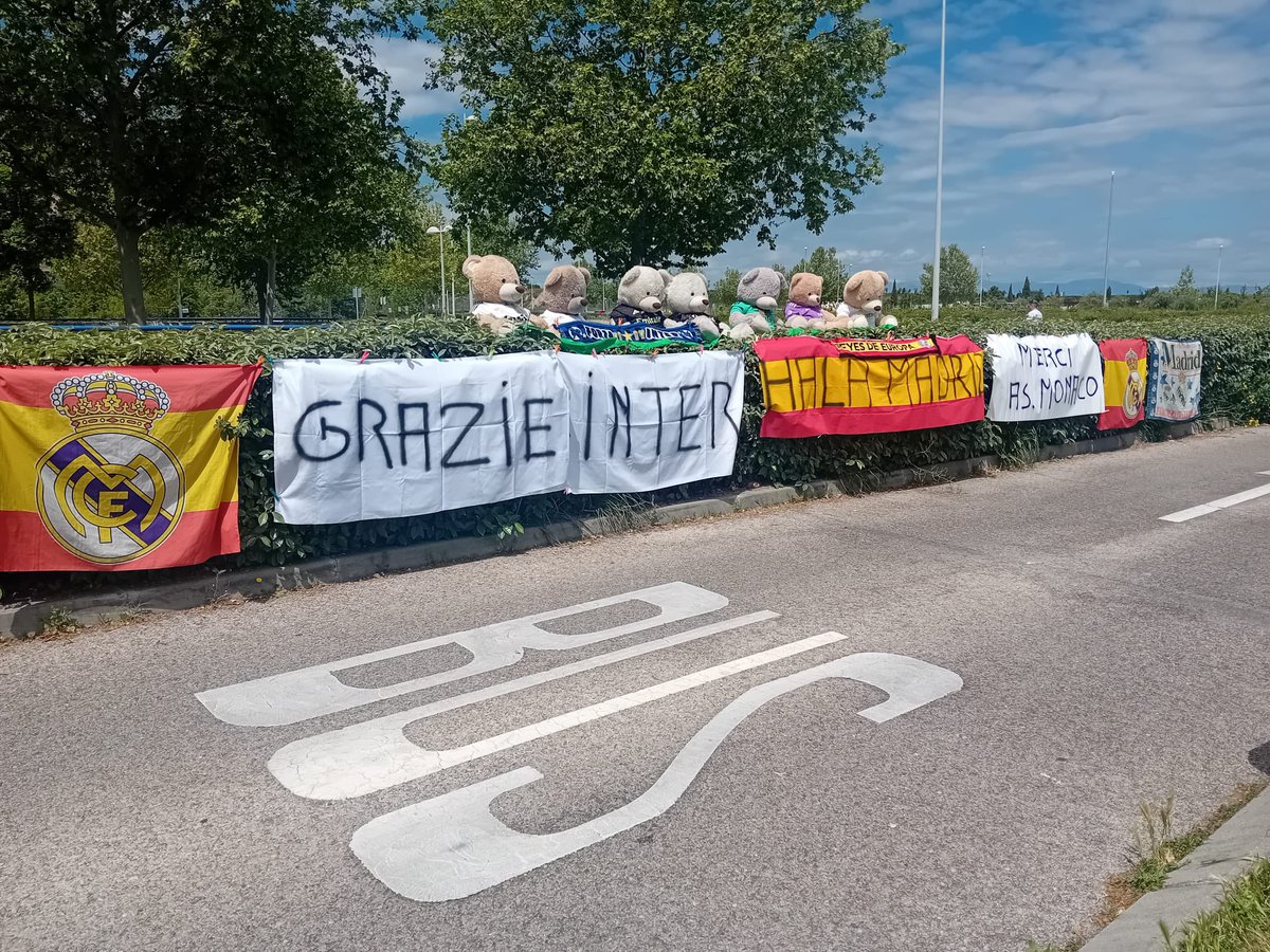 𝕯𝖚𝖒𝖇𝖊𝖉𝖔𝖗𝖊 tweet media