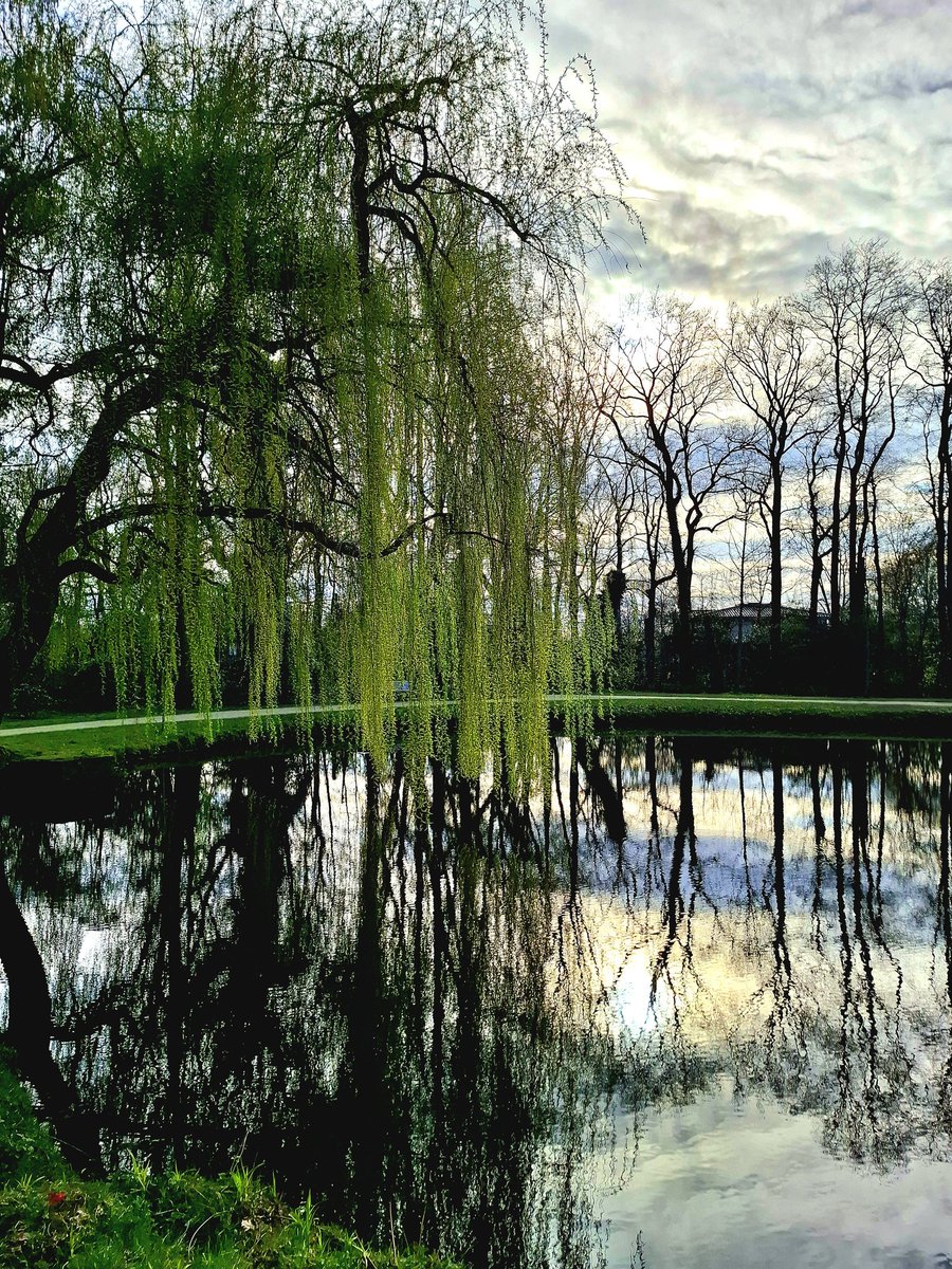 chriz31_07's tweet image. Einen schönen Wochenstart allen....👋🐕🌿

#MondayVibes #HappyEaster #nature