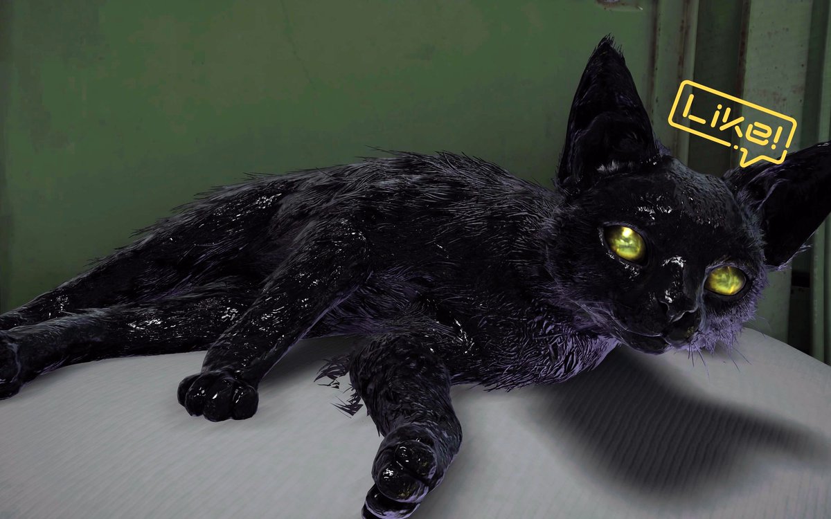 大型猫科系イヌ's tweet media