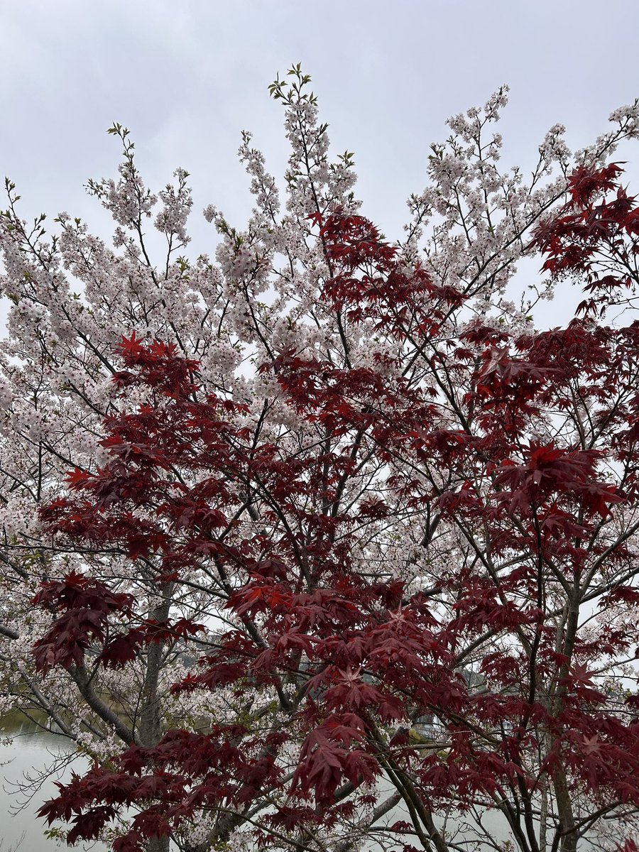 jam𓂃𓊝𓄹𓄺 ‎︎︎︎︎ tweet media