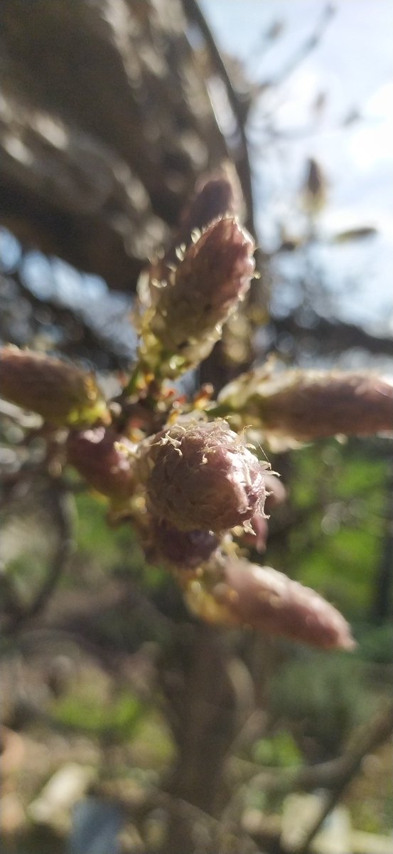 Pim & Ellen tweet media