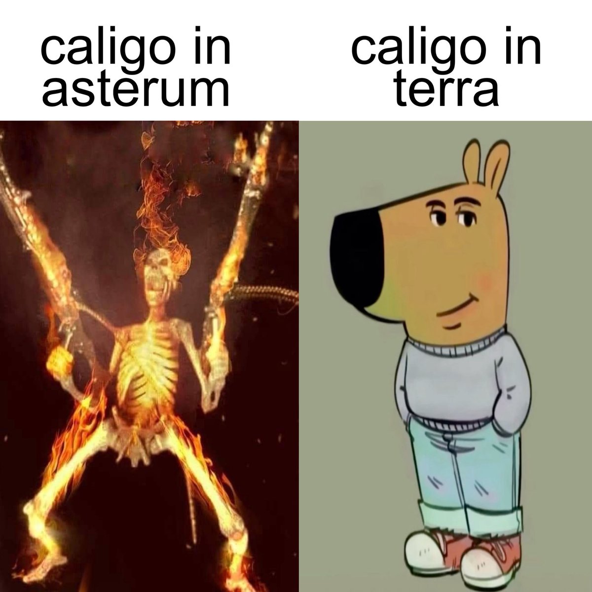 alyₚₜ₂ tweet media