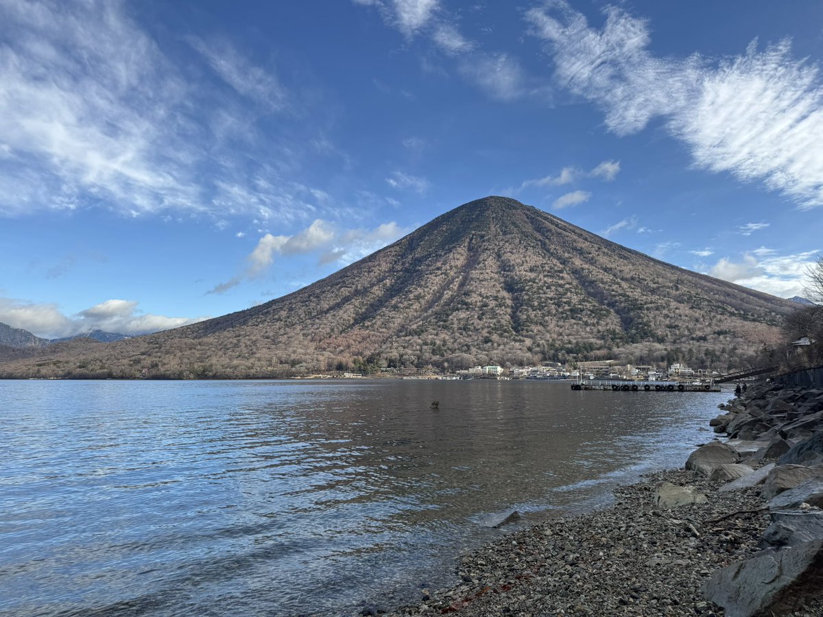 Masa-martin2-17 tweet media