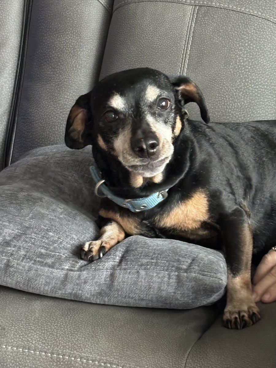 Rielle Chase tweet media