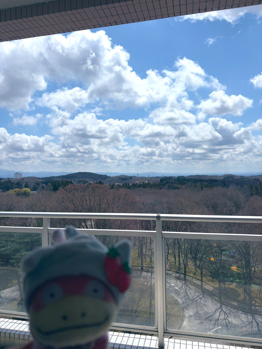 らんまる。 tweet media