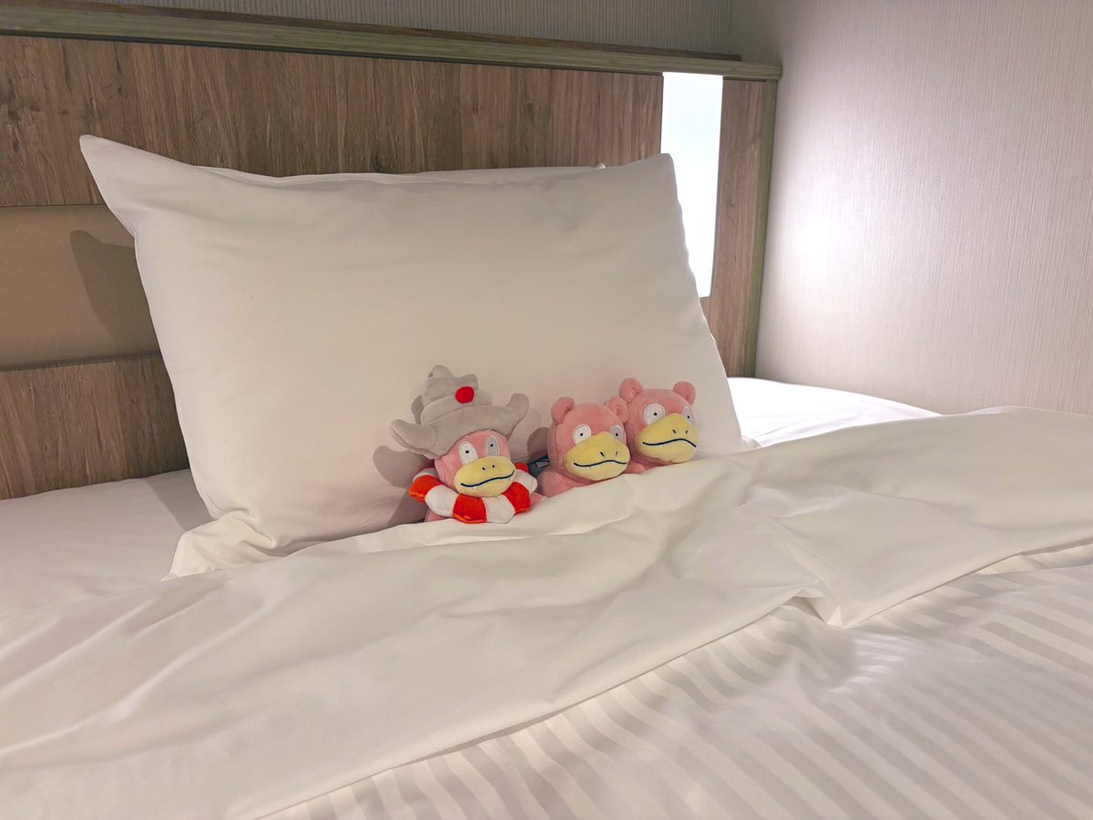 らんまる。 tweet media