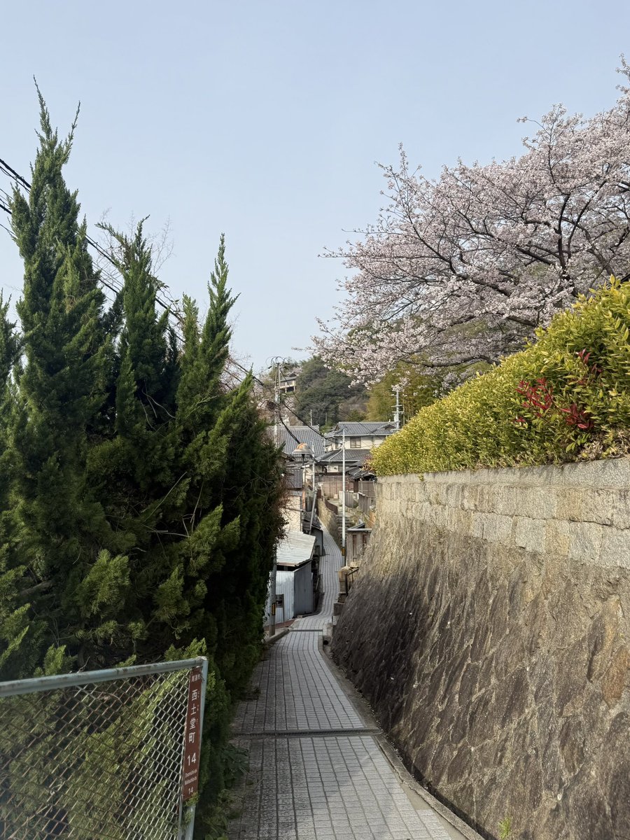 chocotoko tweet media