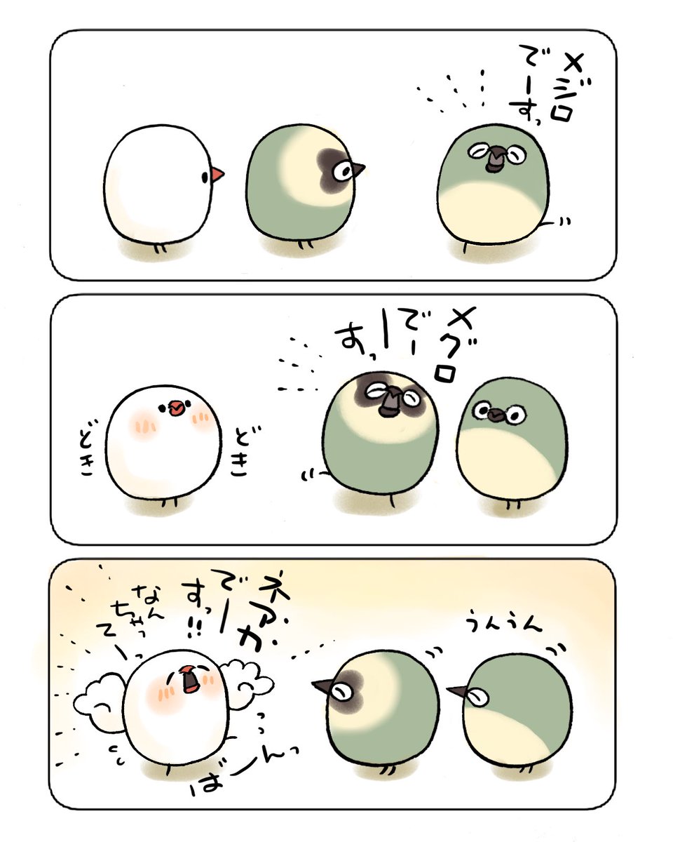 自己紹介で爪痕を残すぶんちょ 