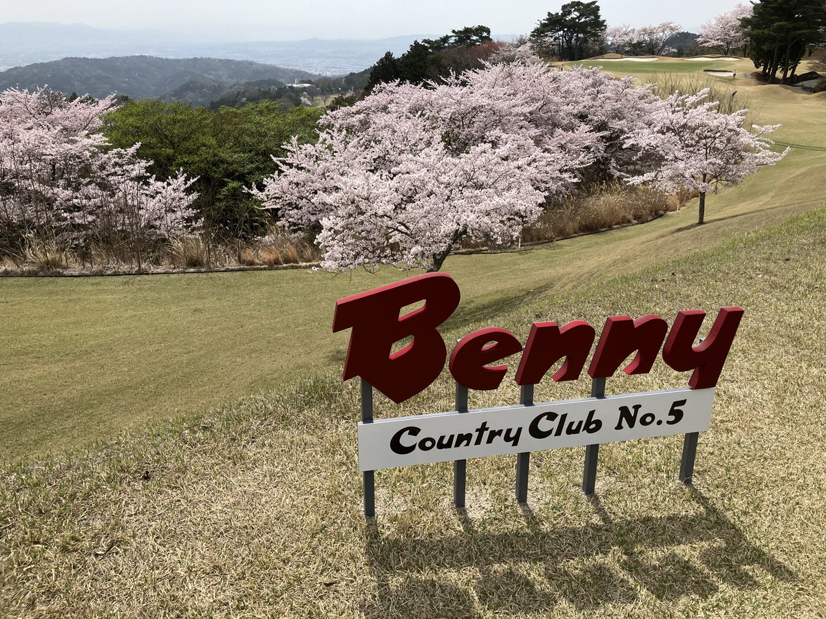 やすＧ⛳️@目指せエージシュート😄 tweet media