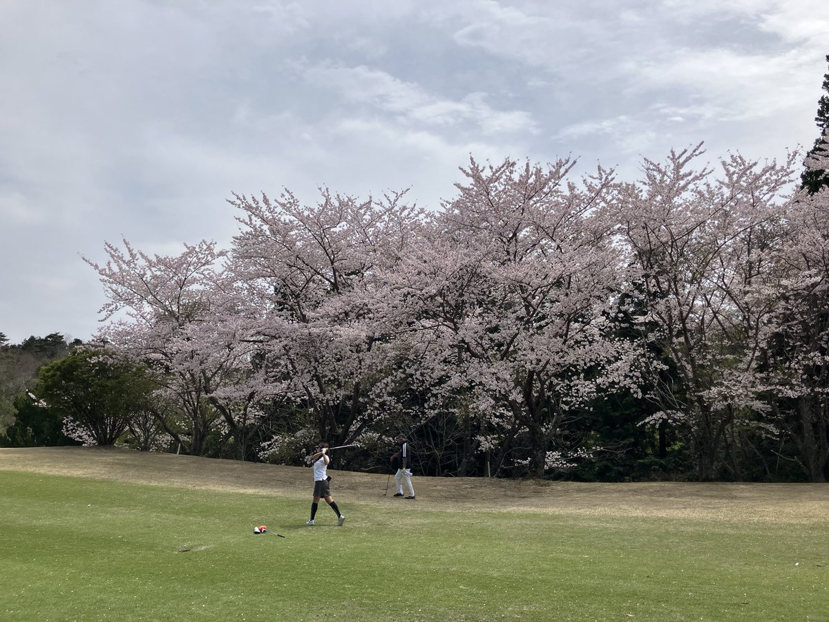 やすＧ⛳️@目指せエージシュート😄 tweet media