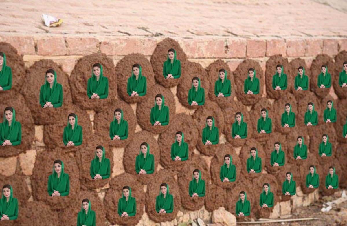 Sarah Naeem Khan tweet media