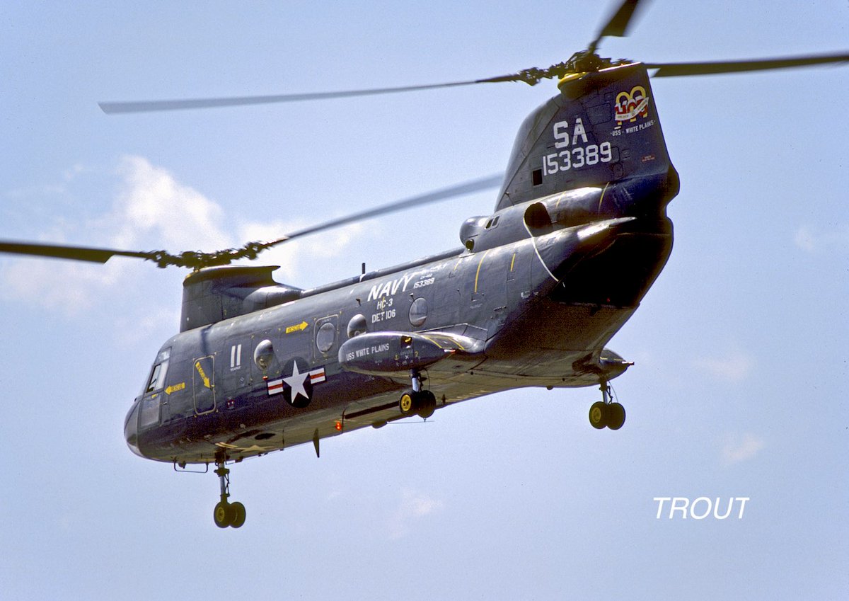 🇯🇵TROUT🇺🇦 tweet media