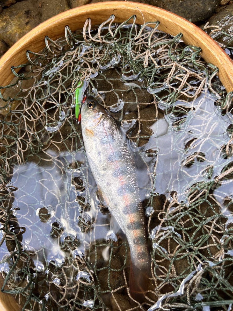 かとうたかのり tweet media