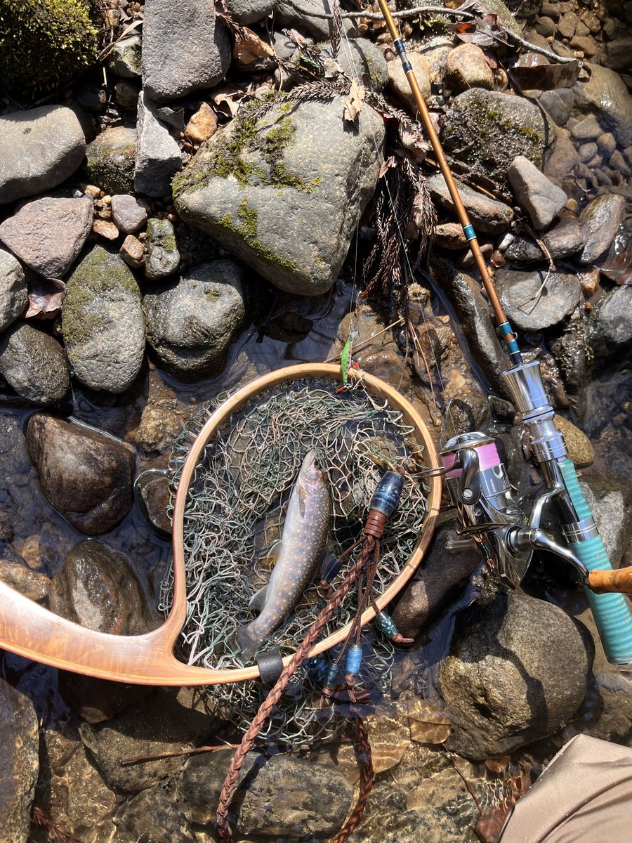 かとうたかのり tweet media